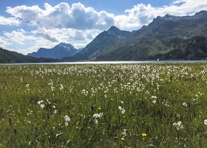 Pra D'sura 113 By Interhome * 马洛亚